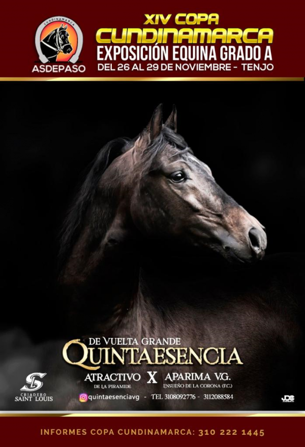 https://www.suscaballos.com/XIV Copa Cundinamarca 2020