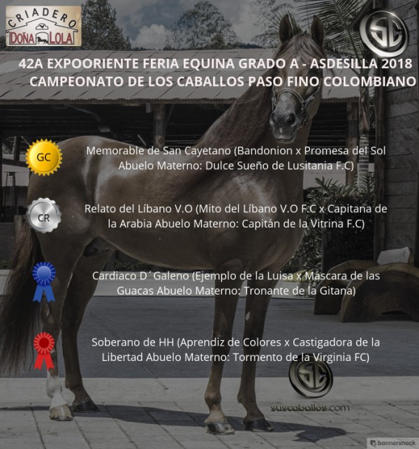 https://www.suscaballos.com/VÍDEO:Memorable Campeón,Relato Reservado, Paso Fino Colombiano, Expooriente 2018