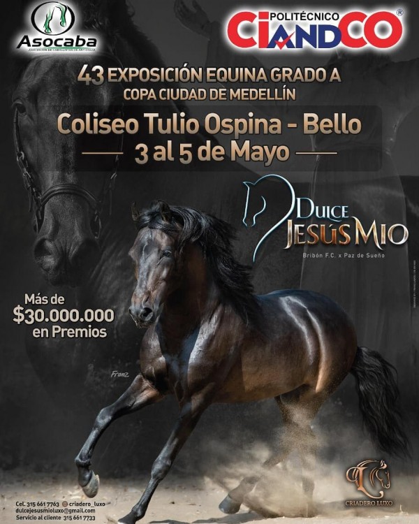 https://www.suscaballos.com/Más de 30 millones en efectivo, 43 Copa ciudad de Medellín 2019