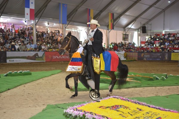 https://www.suscaballos.com/VÍDEO:Dinamita Campeona Mundial, Hermana Luna Reservada Mundial, Trocha Y Galope