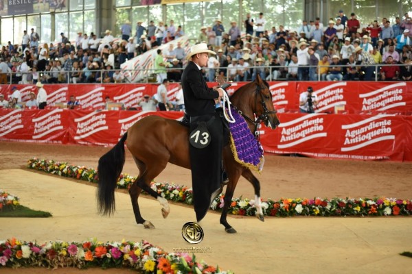 https://www.suscaballos.com/RESULTADOS 60 años Expointernacional Equina Feria de Flores 2018- TROCHA COLOMBIANA