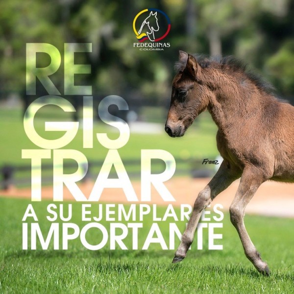 https://www.suscaballos.com/EDEQUINAS Registrar a tus Ejemplar es Importante