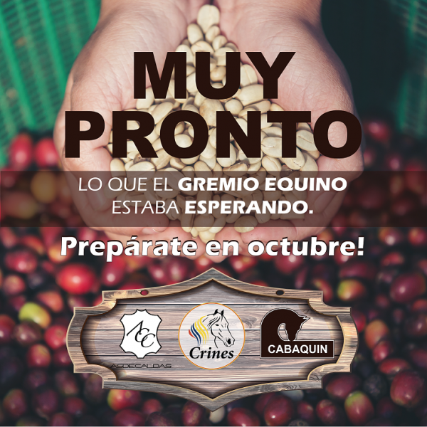 https://www.suscaballos.com/MUY PRONTO! Lo que todo el gremio EQUINO estába ESPERANDO...