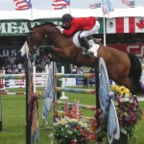 https://www.suscaballos.com/Levaduras Como Suplemento Para Caballos En Entrenamiento