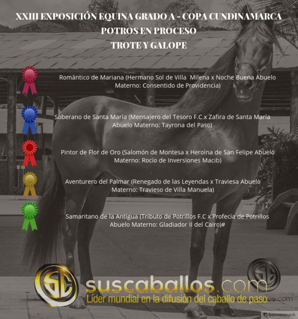 https://www.suscaballos.com/V&Iacute;DEO: Rom&aacute;ntico Mejor, Soberano 1P, Potros De Trote Y Galope, Copa Cundinamarca