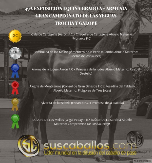 https://www.suscaballos.com/VÍDEO: Gala Campeona, Bambulina Reservada, Trocha Y Galope, Armenia 2017