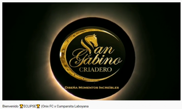 https://www.suscaballos.com/NOTICIA! San Gabino Criadero Nuevo propietario de  ECLIPSE