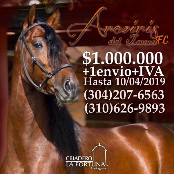 https://www.suscaballos.com/Arco Iris del Tesoro F.C, Aproveche su promoción!