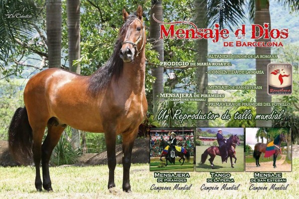 https://www.suscaballos.com/VÍDEO: Mensaje De Dios Hijo De Prodigio En La Mensajera