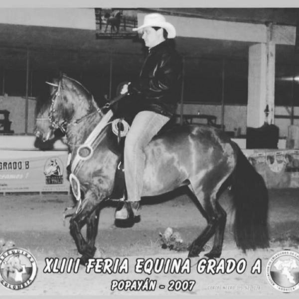 https://www.suscaballos.com/Se va otra Grande Intrusa De Santa Gertrudis F.C