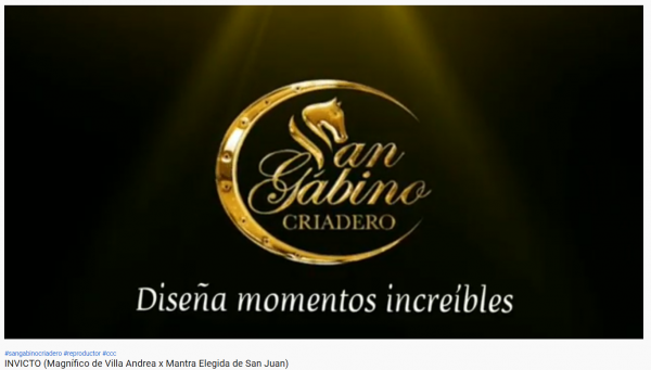 https://www.suscaballos.com/VIDEO: INVICTO  NUEVO INTEGRANTE DE SAN GABINO CRIADERO