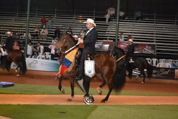 https://www.suscaballos.com/VÍDEO:Tentadora Campeona, Wuaka Wuaka Reservada,Trote Y Galope, XXV Copa América
