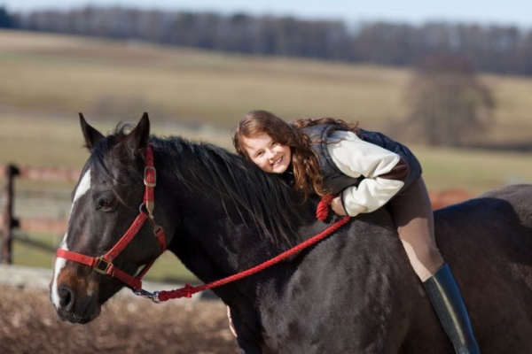 https://www.suscaballos.com/Equitación infantil: Un deporte que estimula mente y cuerpo