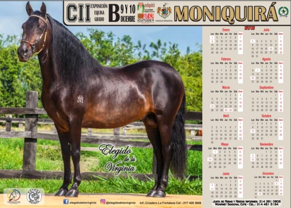 https://www.suscaballos.com/CII Exposición Equina Grado B, Moniquirá - Diciembre 9 y 10!!