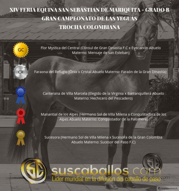 https://www.suscaballos.com/VÍDEO: Flor GC, Faraona CR, Trocha Colombiana, San Sebastián De Mariquita