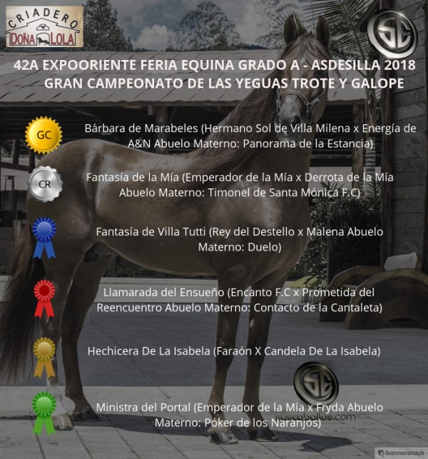 https://www.suscaballos.com/VÍDEO: Bárbara Campeona, Fantasía Reservada, Trote Y Galope, Expooriente 2018