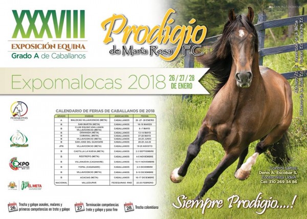 https://www.suscaballos.com/RESULTADOS: XXXVIII Exposición Equina Grado A De Caballanos 2018 - PASO FINO COLOMBIANO