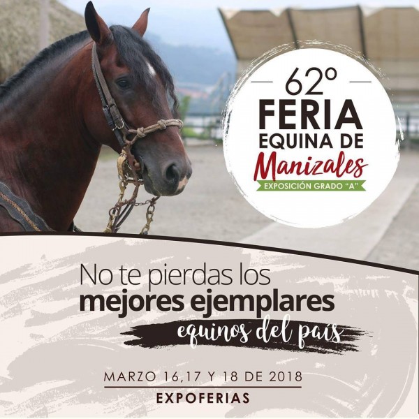 https://www.suscaballos.com/TRANSMISIÓN 62a Exposición Equina Grado A de Manizales, del 16 al 18 de Marzo