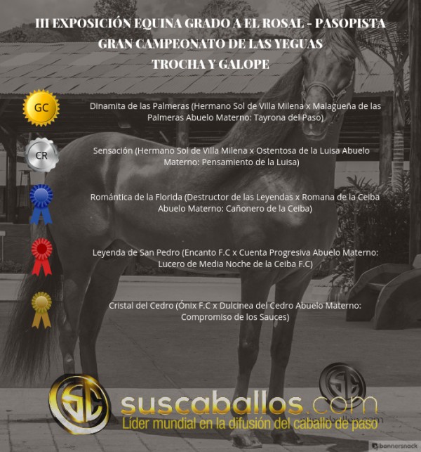 https://www.suscaballos.com/VÍDEO: Dinamita Campeona, Sensación Reservada, Trocha Y Galope, III Exposabana