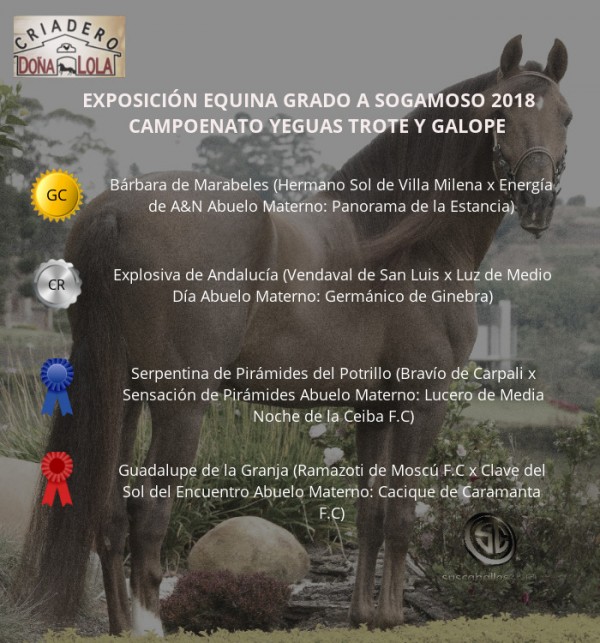 https://www.suscaballos.com/VÍDEO:Bárbara Campeona, Explosiva Reservada, Trote y Galope, Sogamoso 2018