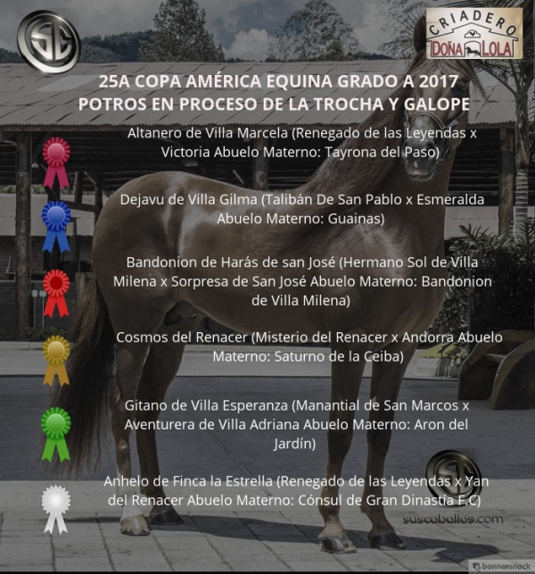 https://www.suscaballos.com/VÍDEO: Altanero Mejor, Dejavu 1P,Potros De La Trocha Y Galope,XXV Copa América