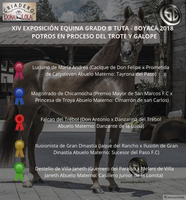 https://www.suscaballos.com/VÍDEO:Luciano Mejor, Magistrado 1P, Potros Del Trote Y Galope, Grado B Tuta 2018