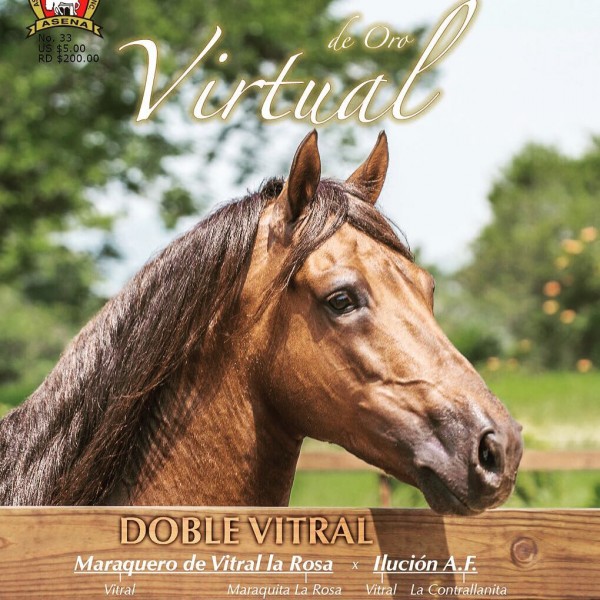 https://www.suscaballos.com/Lamentable Perdida Se Va Un Gran Exponente del Paso Fino Virtual De Oro