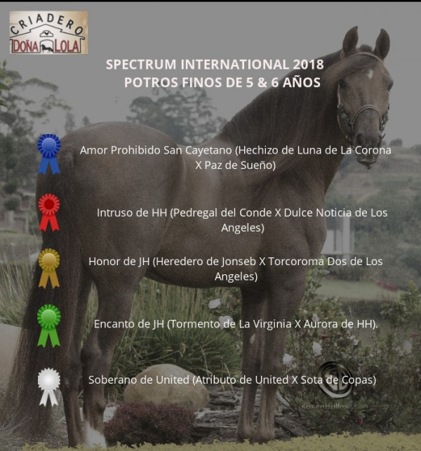 https://www.suscaballos.com/RESULTADOS  SPECTRUM INTERNATIONAL 2018 - DÍA SÁBADO