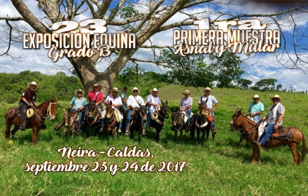 https://www.suscaballos.com/RESULTADOS 23a Exposición Equina Grado B, Neira - Caldas