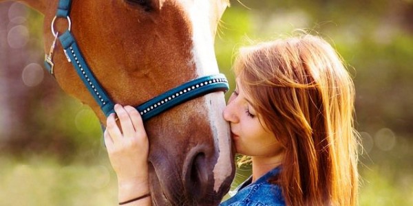 https://www.suscaballos.com/LOS CABALLOS Y SUS BENEFICIOS PARA LAS PERSONAS CON ESCLEROSIS MÚLTIPLE