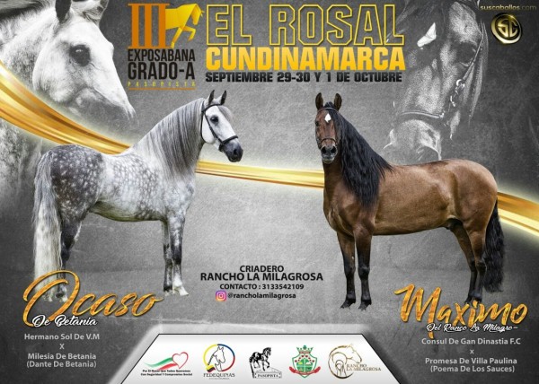 https://www.suscaballos.com/III Exposabana Grado A, El Rosal - Cundinamarca Septiembre 29 -30 y 1 De Octubre