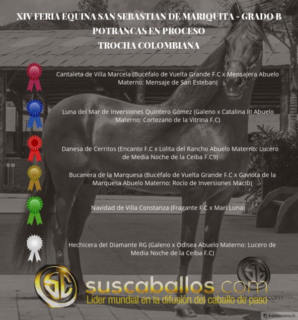 https://www.suscaballos.com/VÍDEO:Cantaleta Mejor, Luna 1P, Potrancas Trocha,Grado B San Sebastian Mariquita