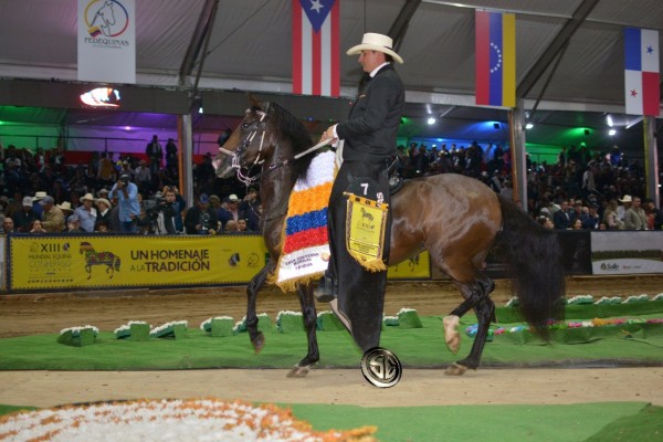 https://www.suscaballos.com/VÍDEO:Loperena Campeona Mundial, Tripleta Reservada Mundial, Trocha Colombiana