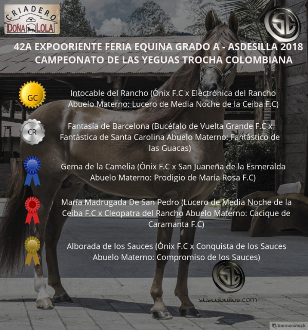 https://www.suscaballos.com/VÍDEO:Intocable Campeona, Fantasía Reservada, Trocha Colombiana,Expooriente 2018