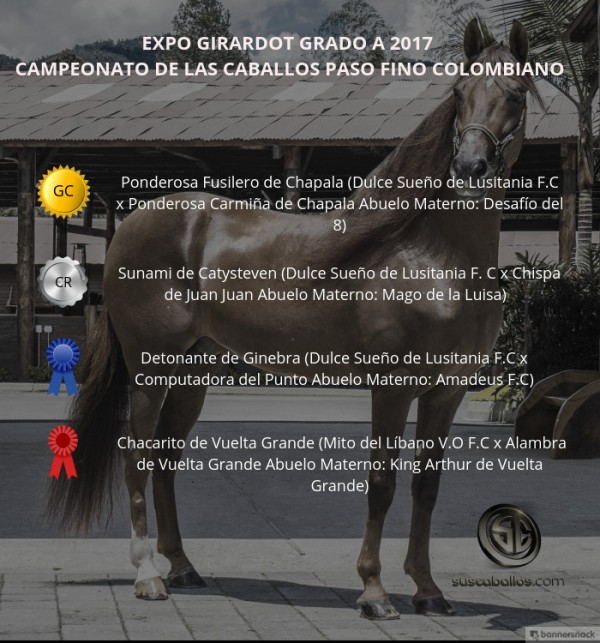 https://www.suscaballos.com/VIDEO: Ponderosa Fusilero Campeón, Sunami Reservado, Paso Fino, Expo Girardot