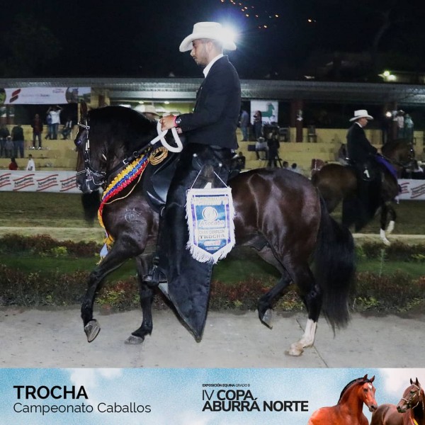 https://www.suscaballos.com/RESULTADOS IV Copa Aburrá Norte Grado B, Asocaba 2018 - TROCHA COLOMBIANA