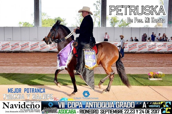 https://www.suscaballos.com/VÍDEO:Petruska Mejor, Sinfonía 1P,Potrancas Trocha Y Galope,VII Copa Antioquia