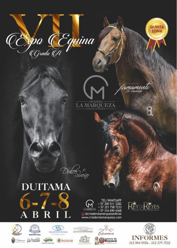 https://www.suscaballos.com/RESULTADOS VII Exposición Equina Grado A Duitama - PASO FINO COLOMBIANO