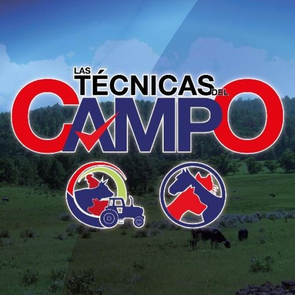 https://www.suscaballos.com/VÍDEO: Técnicas Del Campo: Conductas Inapropiadas en el Caballo Parte #1