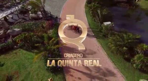 https://www.suscaballos.com/VÍDEO:Criadero La Quinta Real,Primera Venta Virtual Equina En Vivo Y En Directo