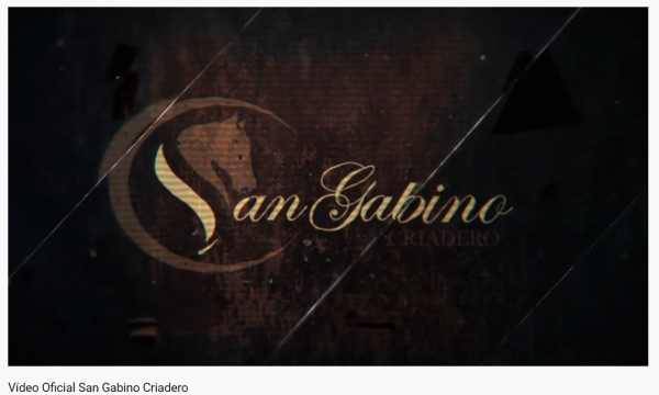 https://www.suscaballos.com/Video Oficial  San Gabino Criadero