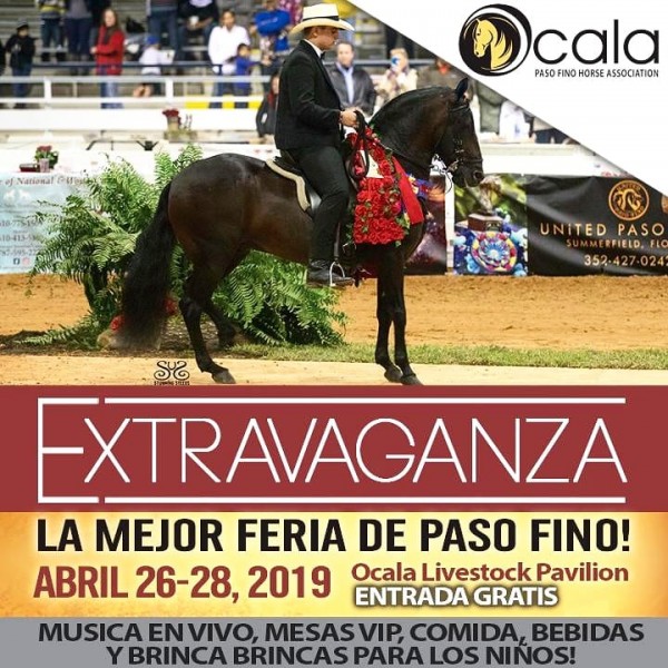 https://www.suscaballos.com/Extravaganza La Mejor Feria del Paso Fino, Ocala - Florida, 26 Al 28 de Abril