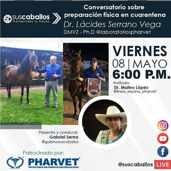 https://www.suscaballos.com/Conversatorio sobre preparación física en cuarentena