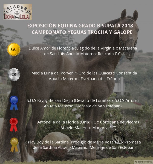 https://www.suscaballos.com/VÍDEO: Loperena Campeona, Bendición Reservada, Trocha Colombiana, Supatá 2018