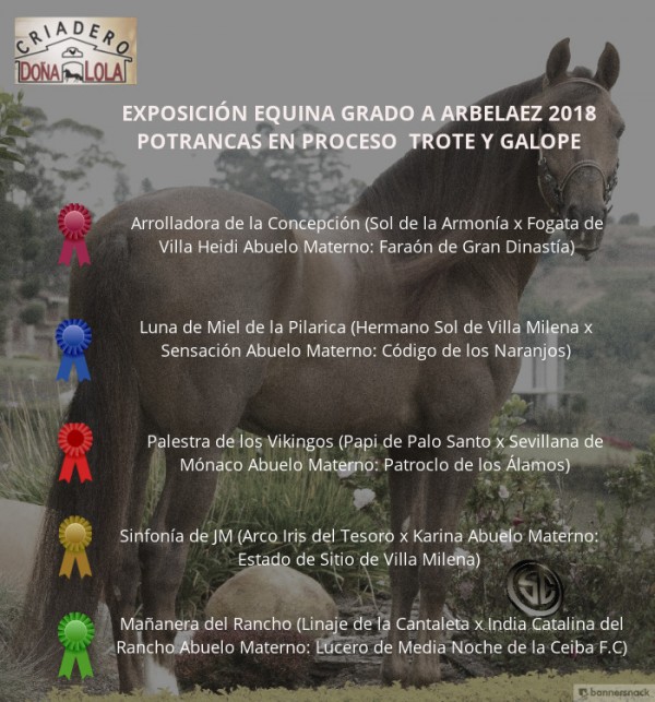 https://www.suscaballos.com/VÍDEO: Arrolladora Mejor, Luna de Miel 1P, Potrancas Trote y Galope, Arbeláez