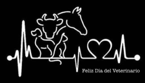 https://www.suscaballos.com/Feliz Día a Todos Los Veterinarios!!