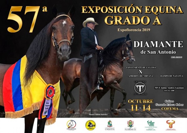https://www.suscaballos.com/TRANSMISIÓN 57a Exposición Equina Grado A Expoflorencia, 11 Al 14 Octubre