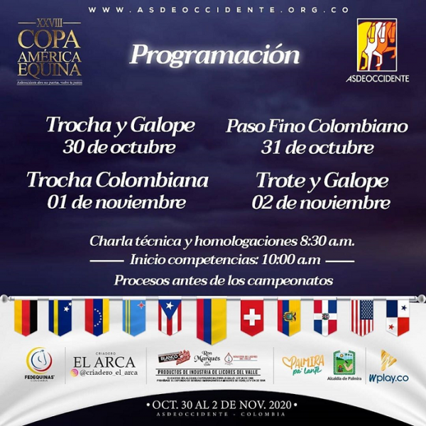 https://www.suscaballos.com/Programación Copa América 2020 