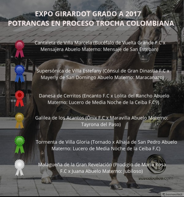 https://www.suscaballos.com/VÍDEO:Cantaleta Mejor, Supersónica 1P,Potrancas de la Trocha, Expo Girardot 2017