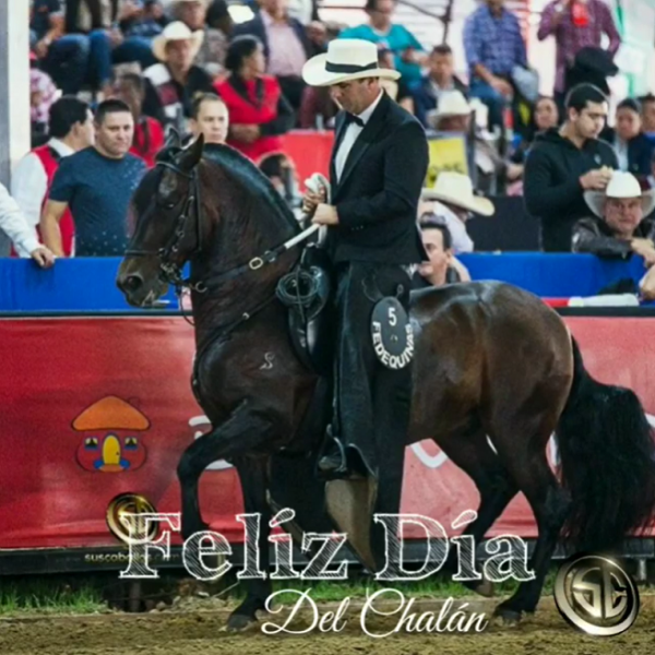 https://www.suscaballos.com/FELIZ DÍA DEL CHALÁN